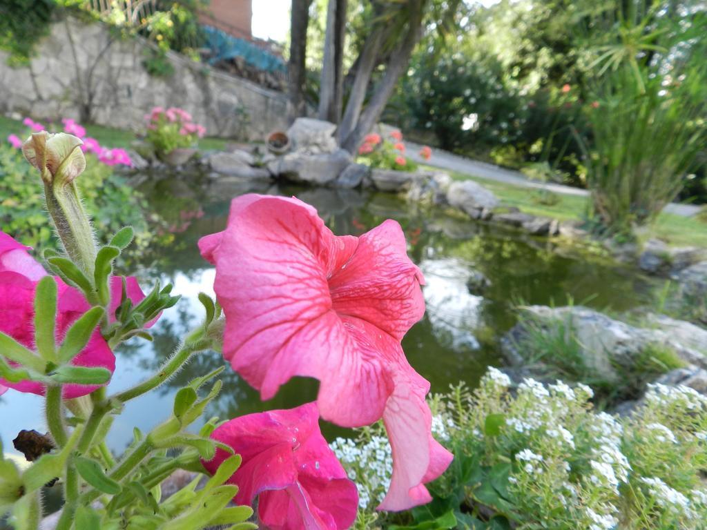 La Casa Di Pietra Bed & Breakfast Fonte Nuova Room photo